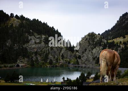 Cavallo solitario e lago nella valle di Nuria (Vall de Núria). Queralbs, Pirenei, El Ripollès, Girona, Catalogna, Spagna, Europa. Foto Stock