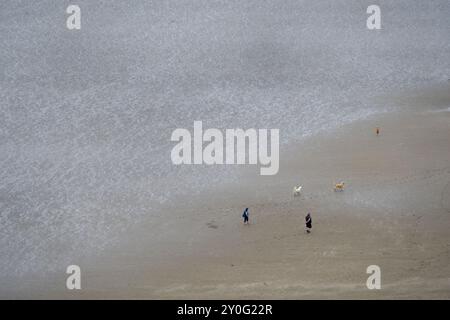 Due persone che camminano con i cani su una spiaggia inglese. Foto Stock
