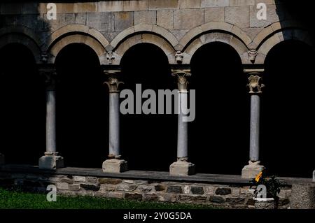 Porticato romanico del chiostro, costruito intorno al 1242, presso l'Abbazia di Piona, Colico, Lombardia, Italia. Tre delle colonne cilindriche mostrate in questa immagine sono sormontate da teste di animali scolpite; l'altra è sormontata da un design in fleur-de-lis. Foto Stock