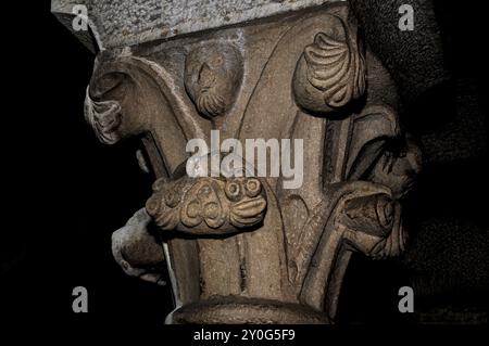 Faccia barbusa su capitello scolpito nel chiostro, costruito intorno al 1242, presso l'Abbazia di Piona, Colico, Lombardia, Italia. Foto Stock