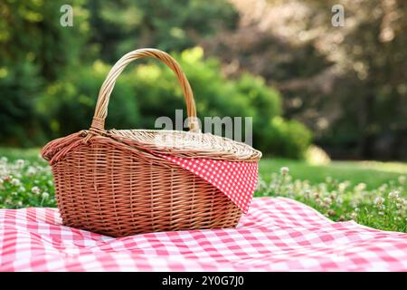 Un cestino da picnic in vimini con tovagliolo a scacchi e coperta sull'erba verde. Spazio per il testo Foto Stock