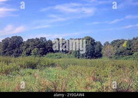 Natur in Ballungsräumen Grünland mit Büschen und Wald im sommerlichen Essener Ruhrtal unter Einwirkung von Hitze und Trockenheit Essen Nordrhein-Westfalen Deutschland *** natura nelle conurbazioni praterie con arbusti e foreste nella valle della Ruhr di Essen in estate sotto l'influenza del calore e della siccità Essen Renania settentrionale-Vestfalia Germania Foto Stock