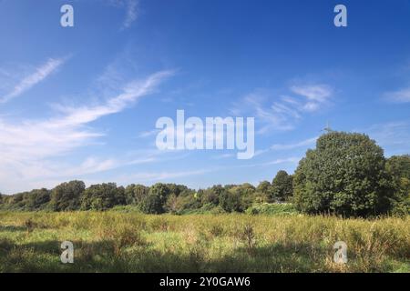 Natur in Ballungsräumen Grünland mit Büschen und Wald im sommerlichen Essener Ruhrtal unter Einwirkung von Hitze und Trockenheit Essen Nordrhein-Westfalen Deutschland *** natura nelle conurbazioni praterie con arbusti e foreste nella valle della Ruhr di Essen in estate sotto l'influenza del calore e della siccità Essen Renania settentrionale-Vestfalia Germania Foto Stock