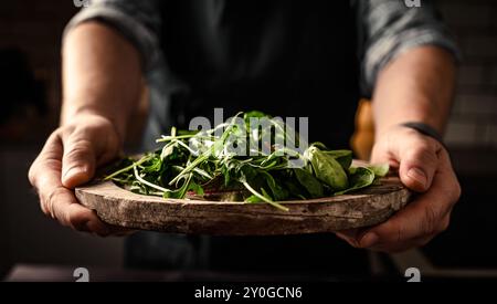Il capo serve foglie di insalata verde fresche con rucola, lattuga, spinaci e barbabietole mescolate su un piatto rustico in legno. Cibo vegetale biologico vegetariano Foto Stock