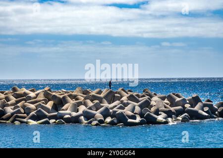 Funchal Madeira Island giu' vicino al porto e alla banchina del porto di Funchal grandi massi di cemento e blocchi che proteggono le alte maree dall'ingresso Foto Stock