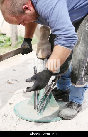 Il corriere sconosciuto lavora sullo zoccolo di un cavallo da corsa. Trattamento sano dello zoccolo con un coltello. Cura tradizionale degli animali. Fabbro sconosciuto che lavora in una stalla Foto Stock