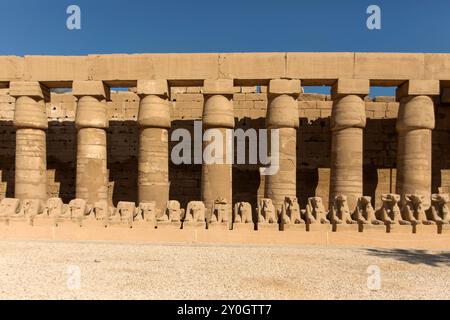 Scolpita in pietra, la Sfinge di Karnak si erge come una sentinella, guardando il tempio. Il suo corpo di leonina e la testa umana incarnano la forza e la saggezza Foto Stock