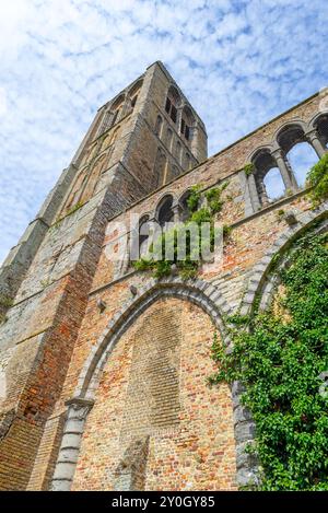 Chiesa di nostra Signora dell'assunzione / Onze lieve Vrouw-Hemelvaartkerk nella città di Damme, Fiandre occidentali, Belgio Foto Stock