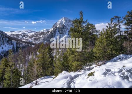 Piste innevate con vista sulla pineta e sulla catena montuosa innevata, il villaggio sciistico di Montgenevre, la Francia, le Alpi Foto Stock
