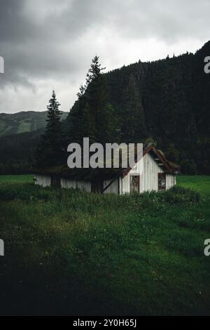 Vecchio cottage a Hemsedal, Norvegia, con alti alberi che crescono sul tetto Foto Stock