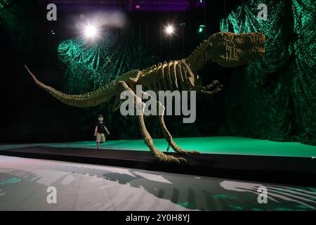 Singapore, Singapore. 2 settembre 2024. Un ragazzo guarda uno scheletro di Tyrannosaurus Rex lungo 6 metri fatto di mattoni Lego durante l'anteprima mediatica della mostra Art of the Brick a Singapore, il 2 settembre 2024. La mostra espone oltre un milione di mattoni LEGO(R) trasformati in oltre 150 sculture dell'artista Nathan Sawaya. (Foto di Suhaimi Abdullah/NurPhoto)0 credito: NurPhoto SRL/Alamy Live News Foto Stock