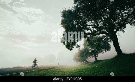 Ciclista che percorre una strada rurale Foggy a Dawn tra alberi sereni e paesaggi verdeggianti. Foto panoramica, spazio di modifica bianco Foto Stock