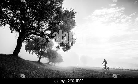 Ciclista su Foggy Morning Road. Foto panoramica in bianco e nero. formato 16:9. Spazio di modifica bianco Foto Stock