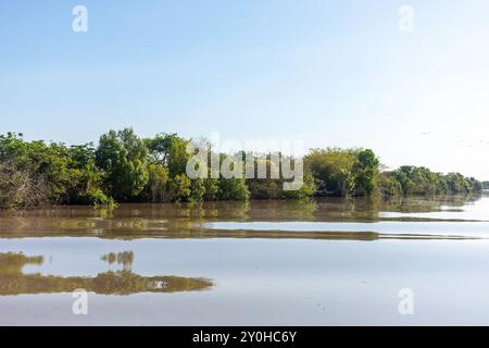 Riflessi sulle rive del fiume dalla spettacolare crociera Jumping Crocodile Cruise, Beatrice Hill, Arnhem Highway, Middle Point, Northern Territory, Australia Foto Stock