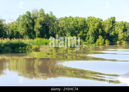 Riflessi sulle rive del fiume dalla spettacolare crociera Jumping Crocodile Cruise, Beatrice Hill, Arnhem Highway, Middle Point, Northern Territory, Australia Foto Stock