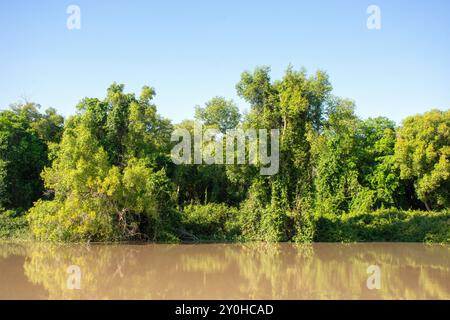 Riflessi sulle rive del fiume dalla spettacolare crociera Jumping Crocodile Cruise, Beatrice Hill, Arnhem Highway, Middle Point, Northern Territory, Australia Foto Stock