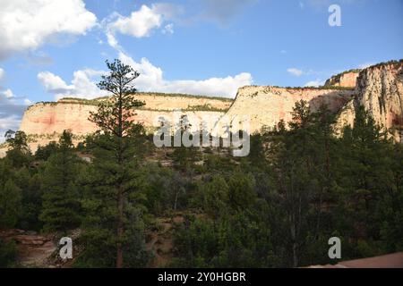 Springdale, Utah. STATI UNITI 8/13/2024. Il Virgin River del Parco Nazionale di Zion ha intagliato la maestosità lungo 15 km, il Canyon di Zion, con scogliere di colore rossastro e marrone. Abbondanza Foto Stock