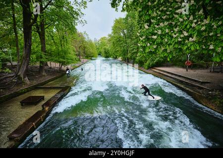 Monaco di Baviera, Germania - 17 aprile 2024: Surfisti di Eisbach sul fiume Isar, Englischer Garten, Baviera Foto Stock