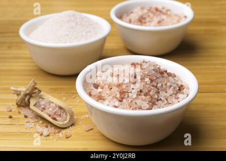 Uno studio fotografico ravvicinato di sale marino himalayano rosa a grana grossa e fine con una paletta di legno sul lato Foto Stock