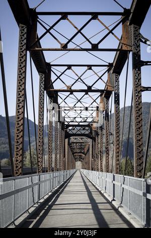 Un vecchio ponte in acciaio trasformato in un sentiero pedonale vicino a Clark Fork, Idaho Foto Stock