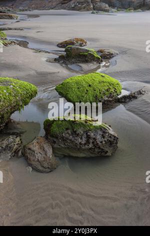 Scogli modellati sulla spiaggia con un piccolo ruscello la mattina presto Foto Stock