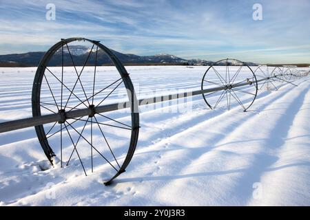 Un campo agricolo coperto di neve con un tubo di irrigazione e ruote sulla Rathdrum Prairie, nell'Idaho settentrionale Foto Stock