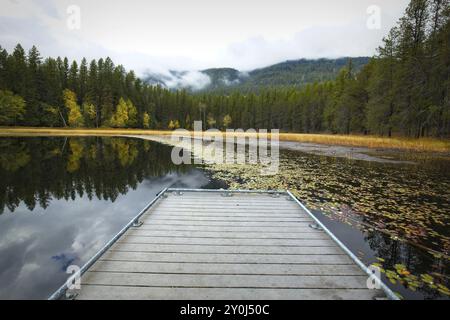 Un molo che conduce a piccole piazzole di giglio che formano una linea nel piccolo lago Sinclair nell'estremo nord dell'Idaho durante l'autunno Foto Stock