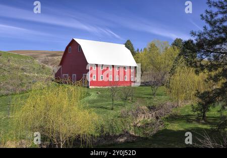 Un fienile rosso brillante nella regione di Palouse, nella parte orientale dello stato di Washington Foto Stock