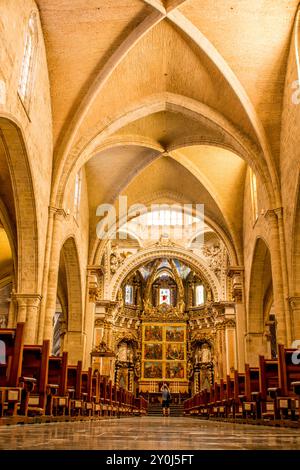 La Cattedrale di Valencia (Basilica dell'assunzione di nostra Signora), Plaza de la Reina, Valencia, Spagna. Foto Stock