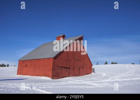 Un fienile rosso sul lato di una piccola collina innevata a Mosca, Idaho Foto Stock