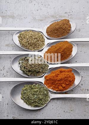 Una foto piatta di varie erbe e spezie essiccate come cajenna, paprika, prezzemolo e basilico su cucchiai di metallo in un ambiente studio Foto Stock