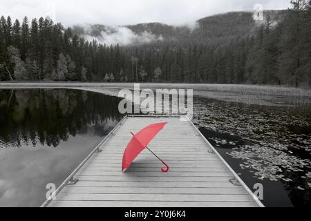 Una foto in bianco e nero di un ombrello rosso colorato poggiato su un molo presso il lago Sinclair nell'Idaho settentrionale Foto Stock