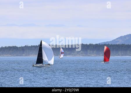 Barche a vela che approfittano di una splendida giornata nelle acque delle isole di San Juan nello stato di Washington Foto Stock