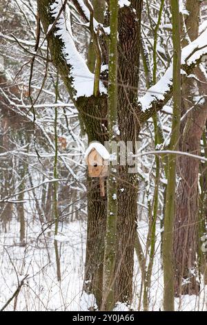 una semplice birdhouse di legno fissata su un tronco di albero, una birdhouse per uccelli nella stagione invernale Foto Stock