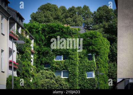 la facciata del centro di colonia è più verde per un clima migliore in città Foto Stock