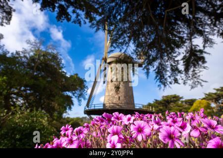 Dutch Windmill Flowers Garden San Francisco Golden Gate Park Foto Stock