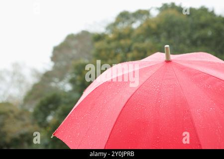 Donna che indossa un ombrello rosso in un giorno di pioggia Foto Stock