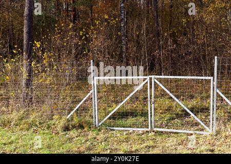 recinzioni metalliche nella foresta per proteggere il territorio dagli animali selvatici, recinzioni metalliche ai margini della foresta per proteggere la strada dagli animali selvatici Foto Stock