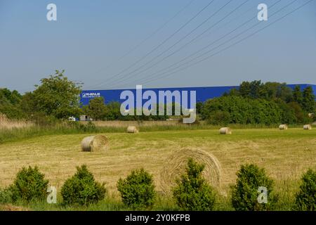 Waltershausen, Germania - 10 giugno 2023: Nel pittoresco paesaggio di Waltershausen, Germania, le balle di fieno dorate punteggiano i campi verdi, tutti attaccati Foto Stock