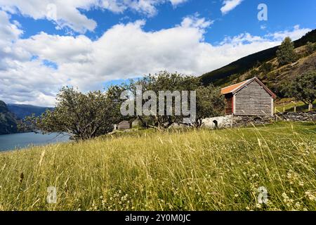 Otternes 'klyngetun', il tradizionale villaggio norvegese, vicino al fiordo di Aurlandsfjorden, Norvegia. Foto Stock