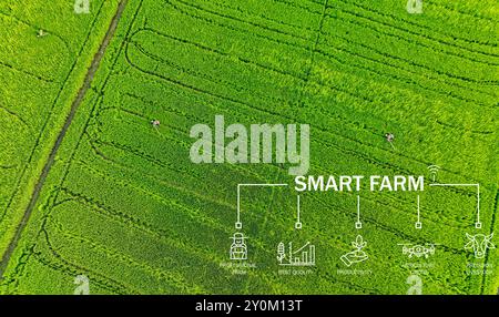 La tecnologia delle aziende agricole intelligenti incontra le competenze agricole. La gestione precisa del bestiame e i droni per l'agricoltura migliorano la produttività. Moderna pratica agricola Foto Stock