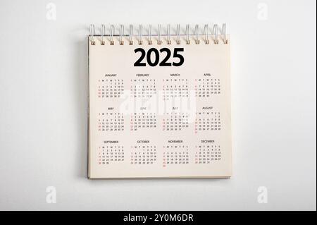 Calendario dell'anno 2025 su sfondo bianco. 2025 pianificazione calendario appuntamento concetto riunione. Anno nuovo. piani per il 2025. vista dall'alto Foto Stock