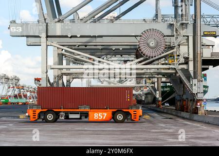 Veicolo automatizzato per il trasporto di container per lo smercio a una nave nel porto di Rotterdam, Paesi Bassi, 8 settembre 2013. Foto Stock