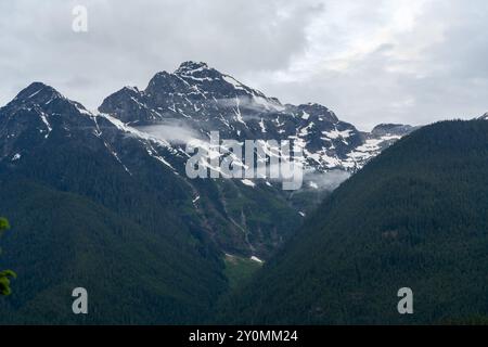 Una splendida vista sulle montagne di North Cascades in una giornata nuvolosa con molta vegetazione. Foto Stock