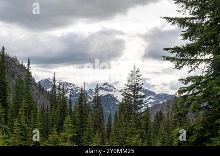 Una splendida vista sulle montagne di North Cascades in una giornata nuvolosa con molta vegetazione. Foto Stock