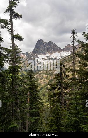 Una splendida vista sulle montagne di North Cascades in una giornata nuvolosa con molta vegetazione. Foto Stock