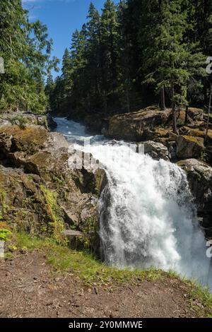 Un'incredibile vista soleggiata delle scintillanti Silver Falls sul monte Rainier National Park. Foto Stock