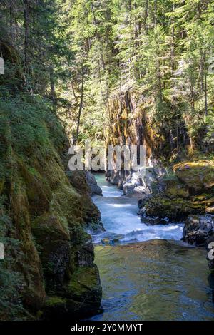 Un'incredibile vista soleggiata delle scintillanti Silver Falls sul monte Rainier National Park. Foto Stock