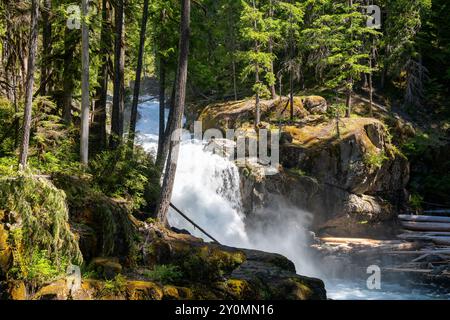 Un'incredibile vista soleggiata delle scintillanti Silver Falls sul monte Rainier National Park. Foto Stock