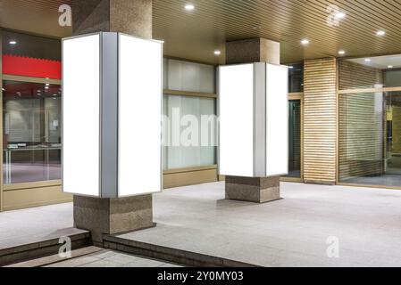 Mockup di due Lightbox con poster pubblicitari verticali in City Space di notte Foto Stock